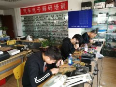 女人男人操BB视频
